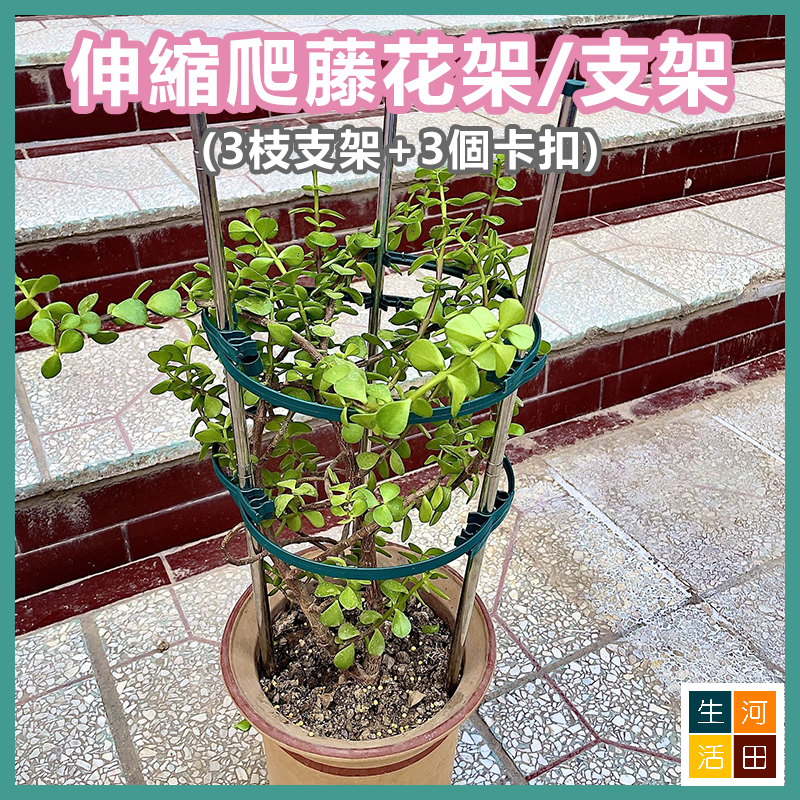 不鏽鋼伸縮爬藤植物花架支架 可調高度花架及連接卡扣 (3枝支架+3個卡扣)