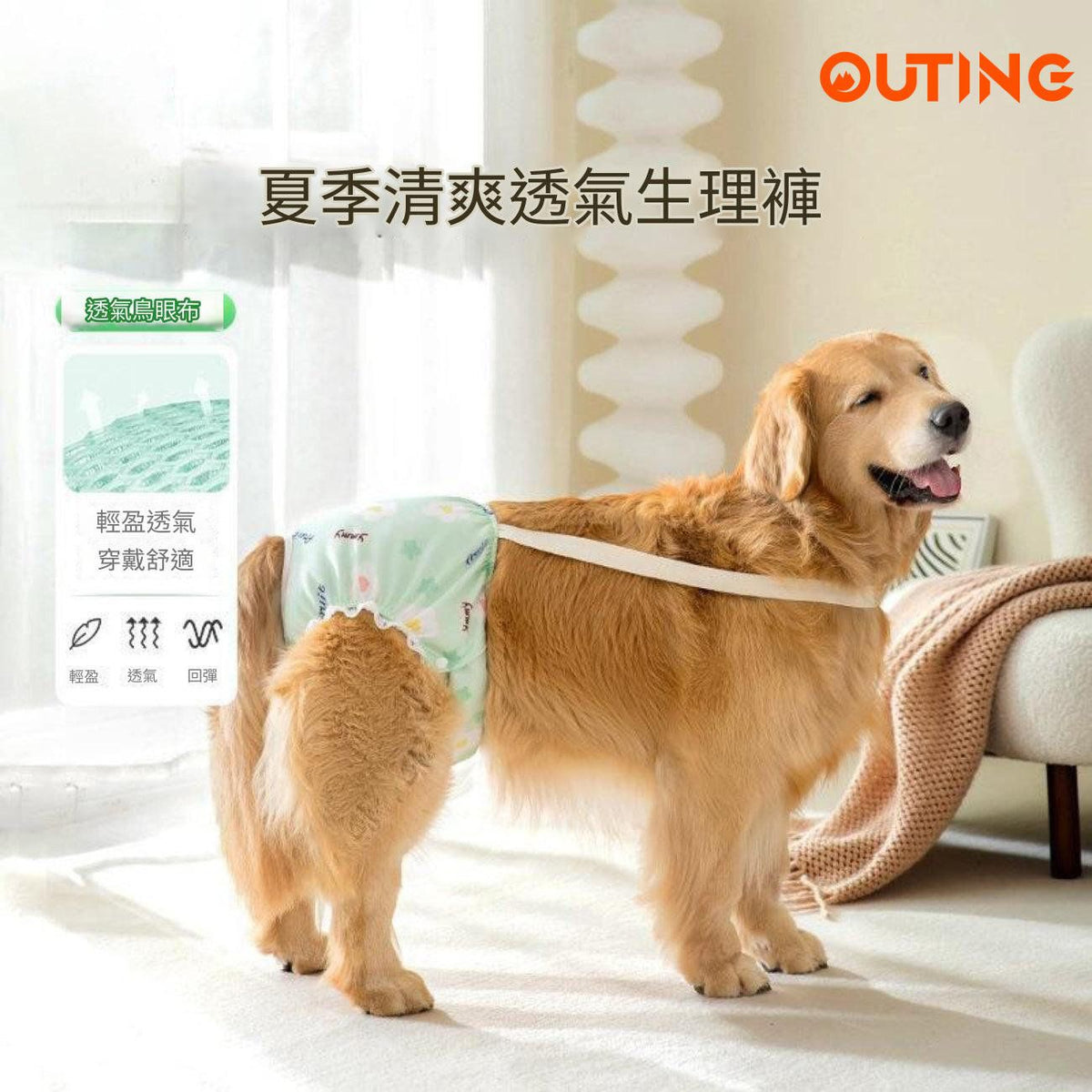 狗狗清爽透氣生理褲(中碼)│透氣狗狗尿布│舒適透氣生理褲│狗狗護理褲