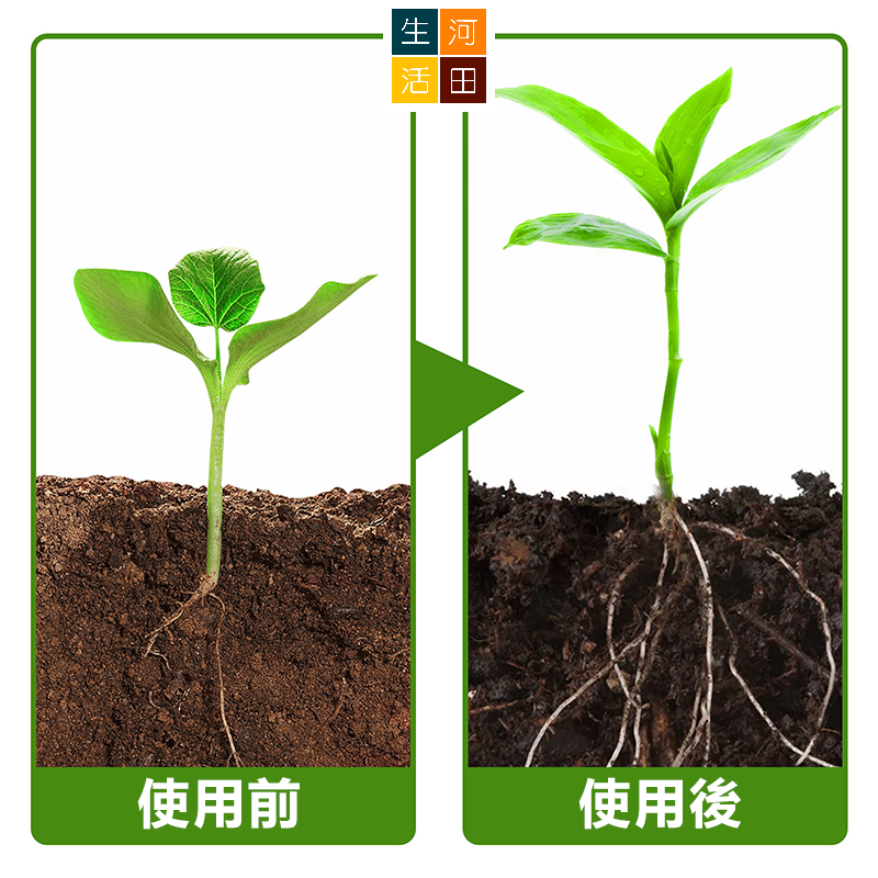 植物生根粉 插枝法生根激素 花卉植苗移植生根刺激劑