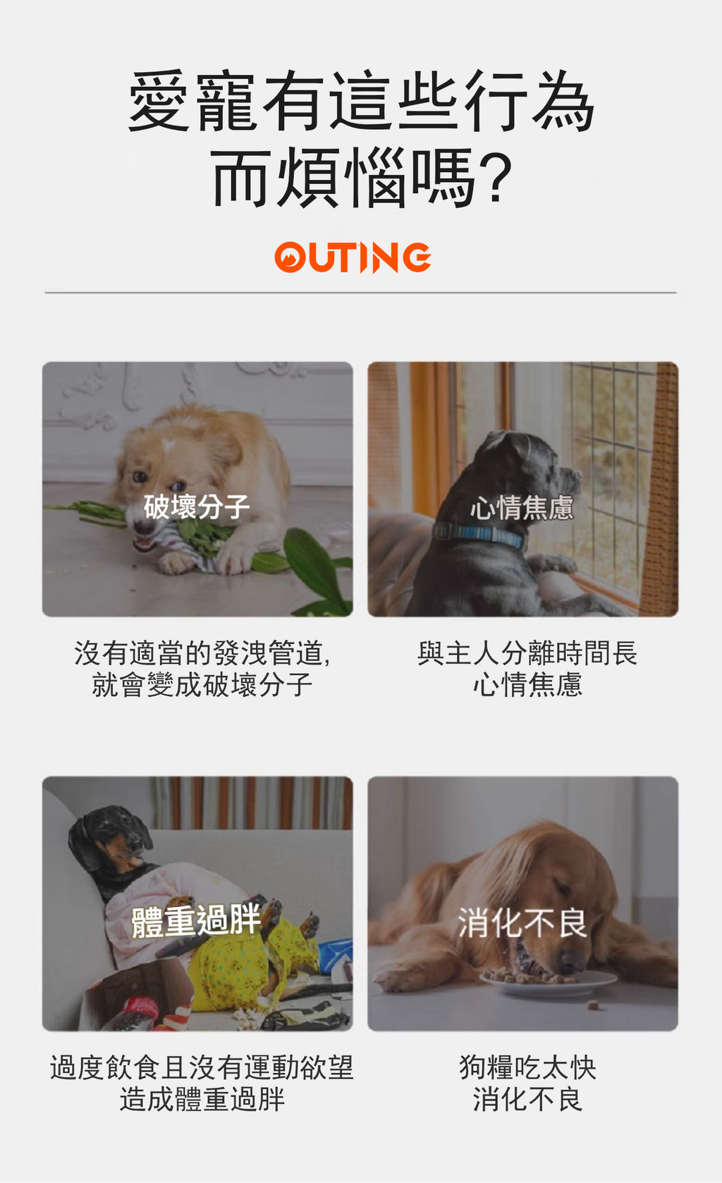 KONG 狗狗漏食葫蘆不倒翁玩具(粉紅色│大碼)│美國品牌漏食益智玩具│幼犬成犬訓練│互動解悶│無毒無害│洗碗機熱水清洗