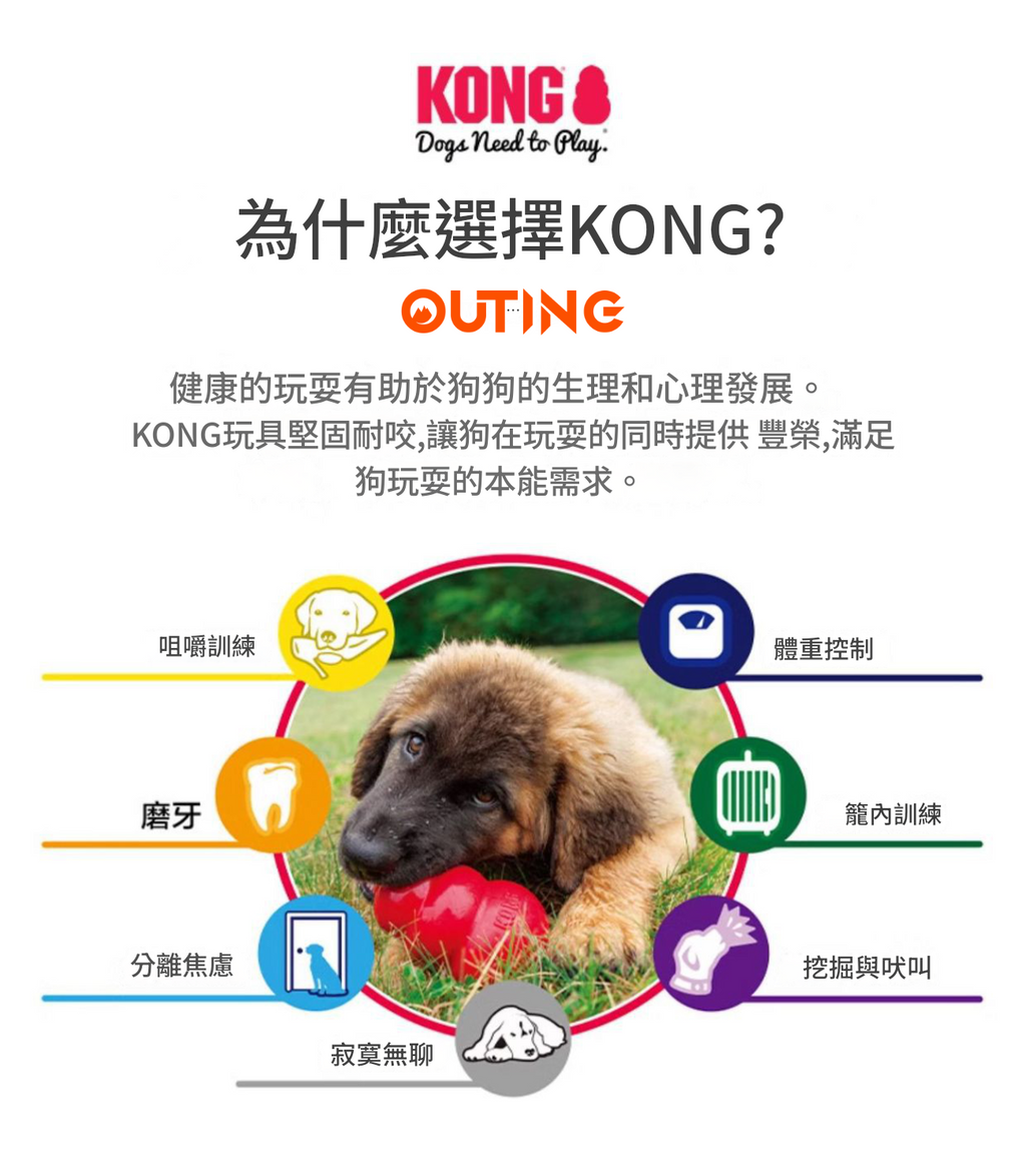 KONG 狗狗漏食葫蘆不倒翁玩具(粉紅色│大碼)│美國品牌漏食益智玩具│幼犬成犬訓練│互動解悶│無毒無害│洗碗機熱水清洗