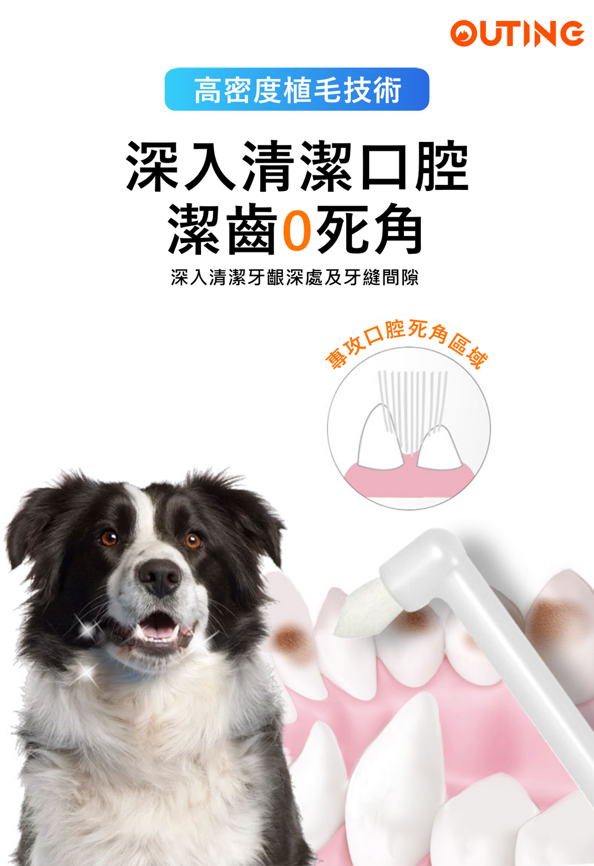 尖頭牙刷 | 杜邦刷毛 健齒護齦 | 貓狗可用寵物牙刷