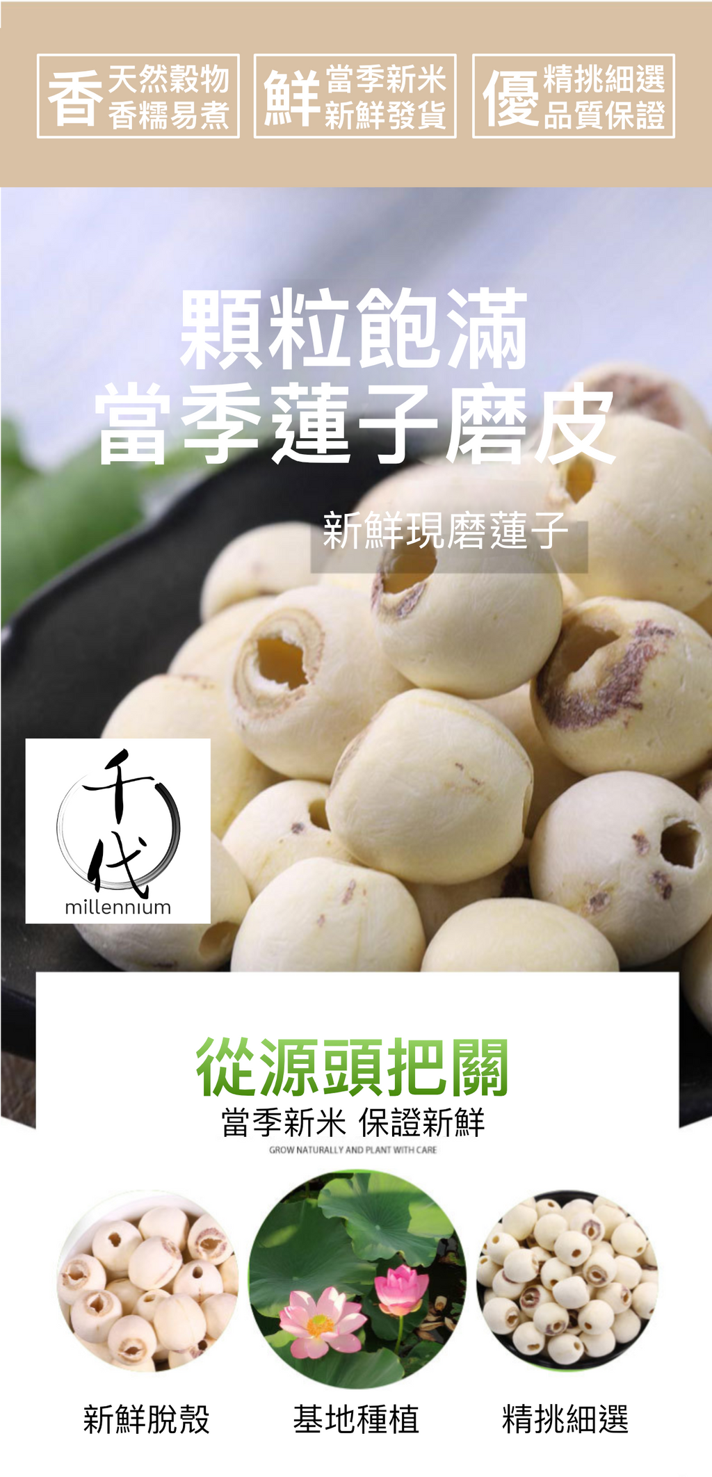 原粒白蓮子(330G)│補益脾胃 清心助眠 精治腎虛