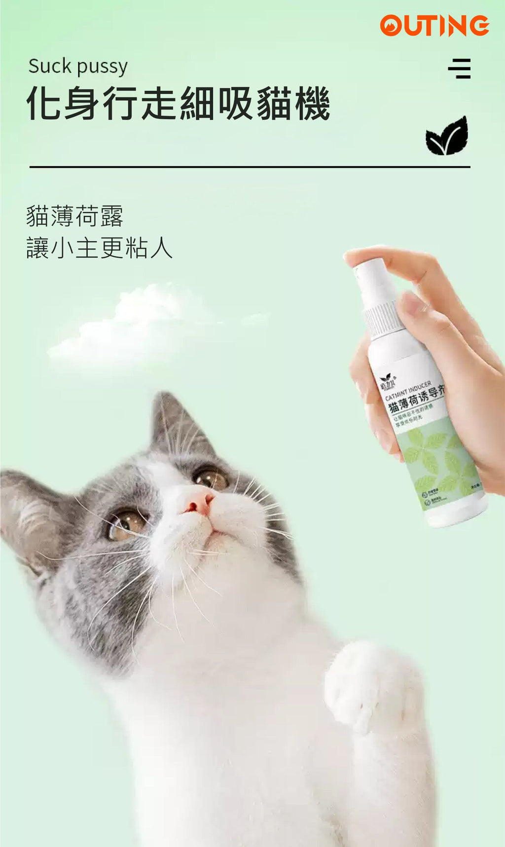 貓薄荷誘惑噴劑│玩具噴劑│薄荷噴霧│訓練噴霧│吸貓神器