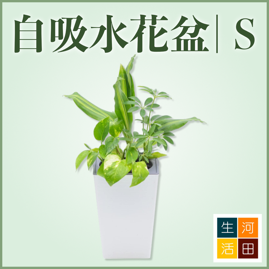 仿磚自吸水花盆（白色／有入水孔）