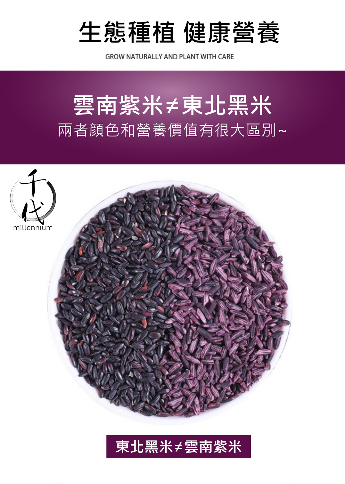 紫米(真空包裝)(500g)│滋陰補腎 健脾暖肝│五穀雜糧