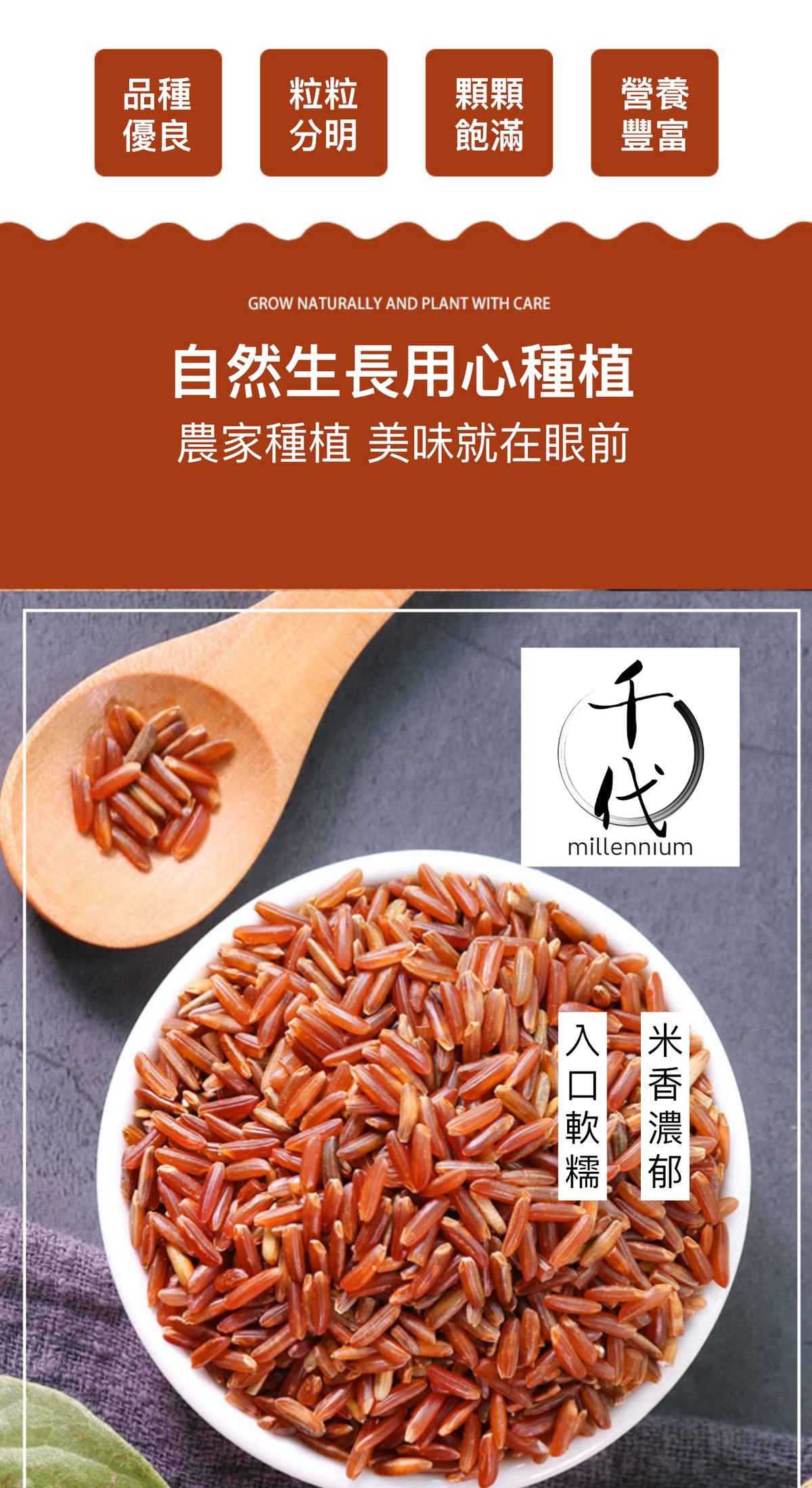 紅米(真空包裝)(500G)│活血化瘀 健脾消食│五穀雜糧