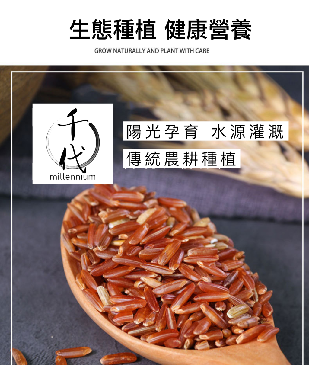 紅米(真空包裝)(500G)│活血化瘀 健脾消食│五穀雜糧