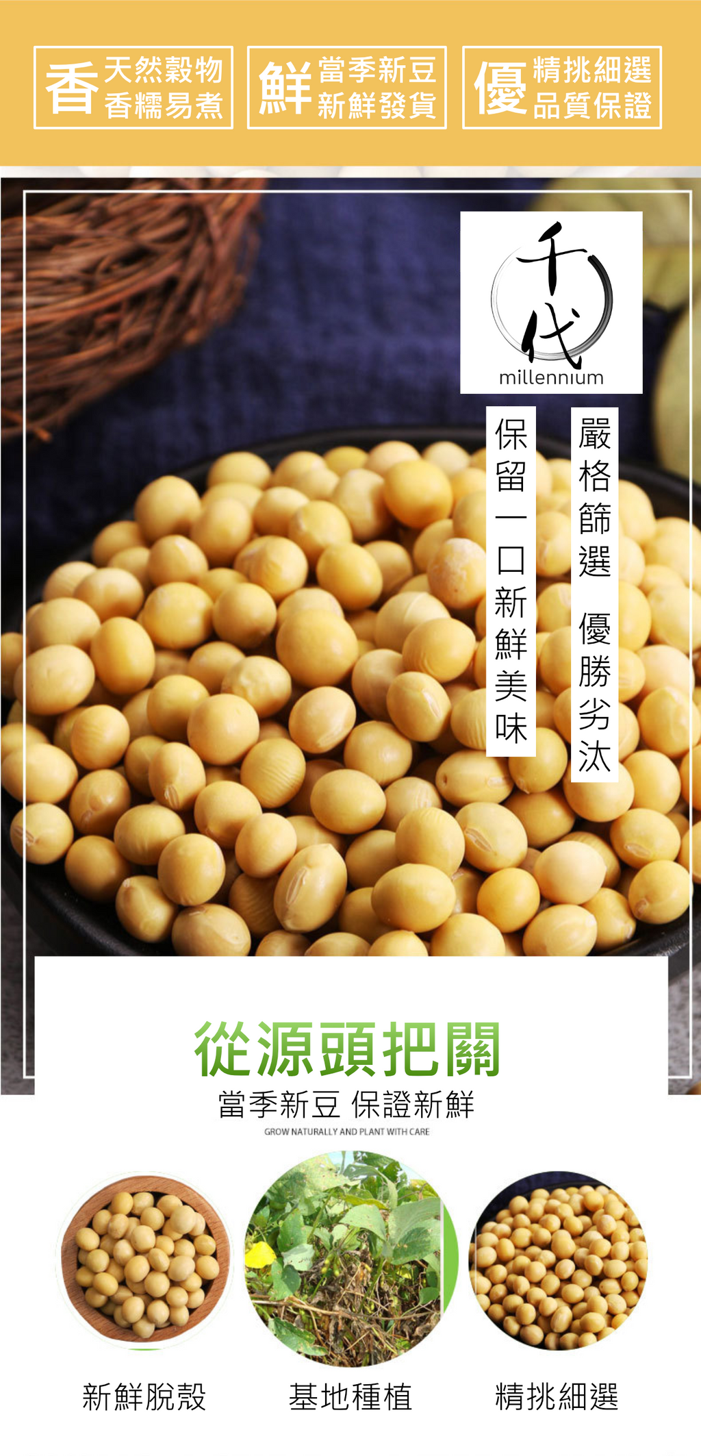 黃豆(真空包裝)(450G)│補氣健脾 養血潤燥│五穀雜糧