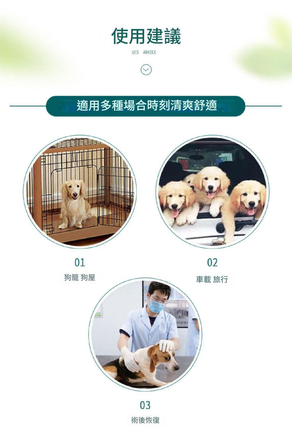 可重用寵物尿墊(米色│加大碼)│可洗重複使用│吸水隔尿墊│四層防水尿墊│快速吸水滲透│如廁訓練