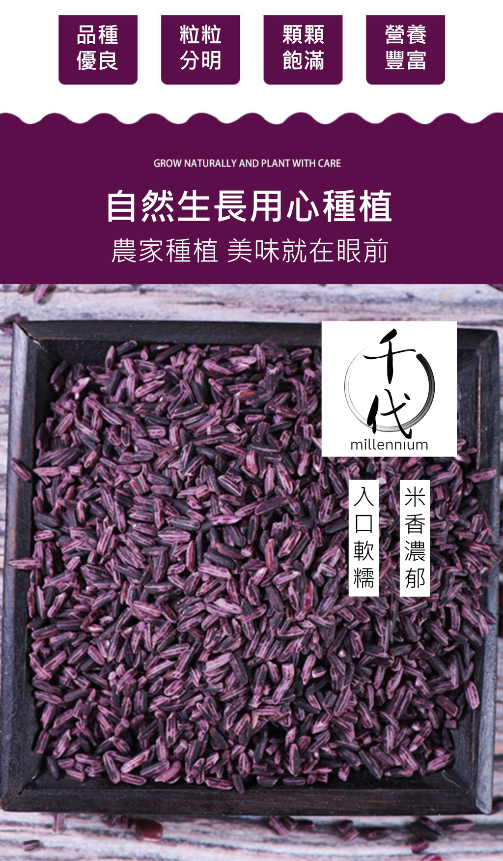 紫米(真空包裝)(500g)│滋陰補腎 健脾暖肝│五穀雜糧