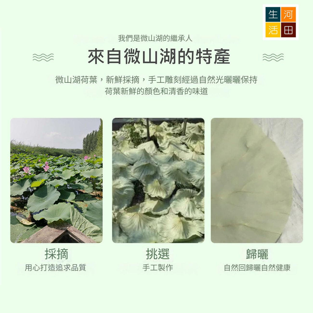 圓形乾荷葉整張(30cm10張)│天然荷葉│荷葉食品