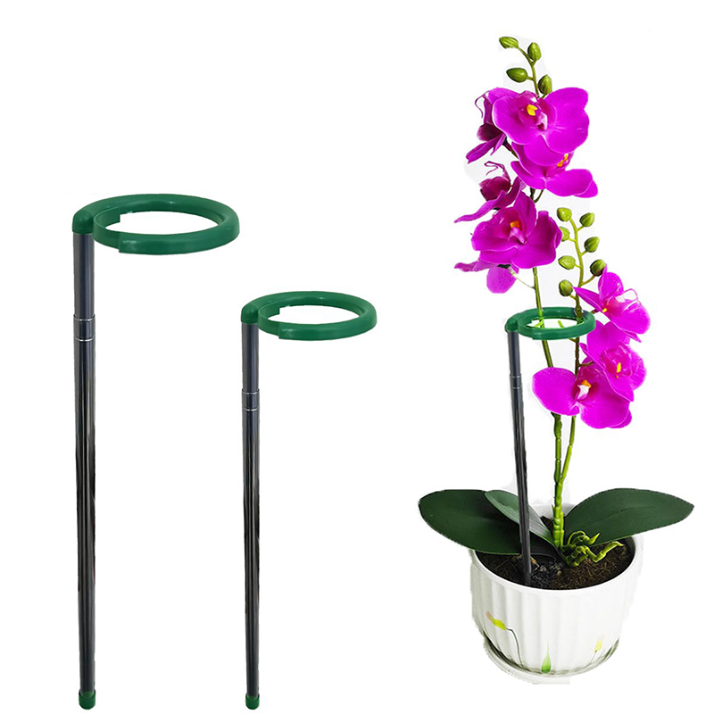 蝴蝶蘭/盆景支架 植物支撐桿 多肉植物防倒固型花架 不鏽鋼伸縮花支柱 (小17-28cm)