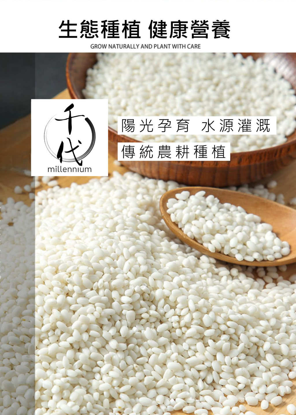 圓糯米(真空包裝)(500G)│補中益氣  健脾養胃│五穀雜糧