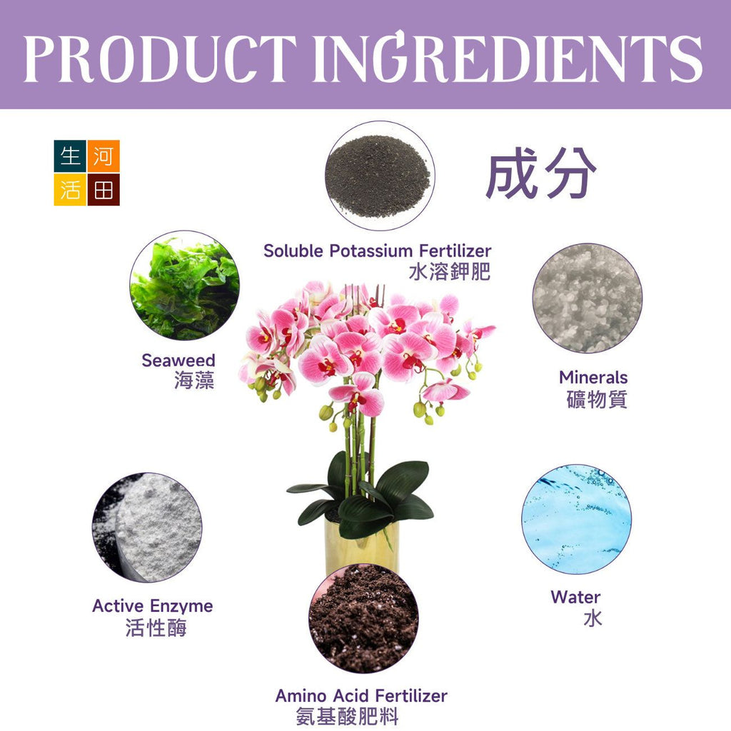 MoonSpry 蘭花生長營養液(50ml)|花蕾花卉有機葉面肥料|植物根生長肥料液