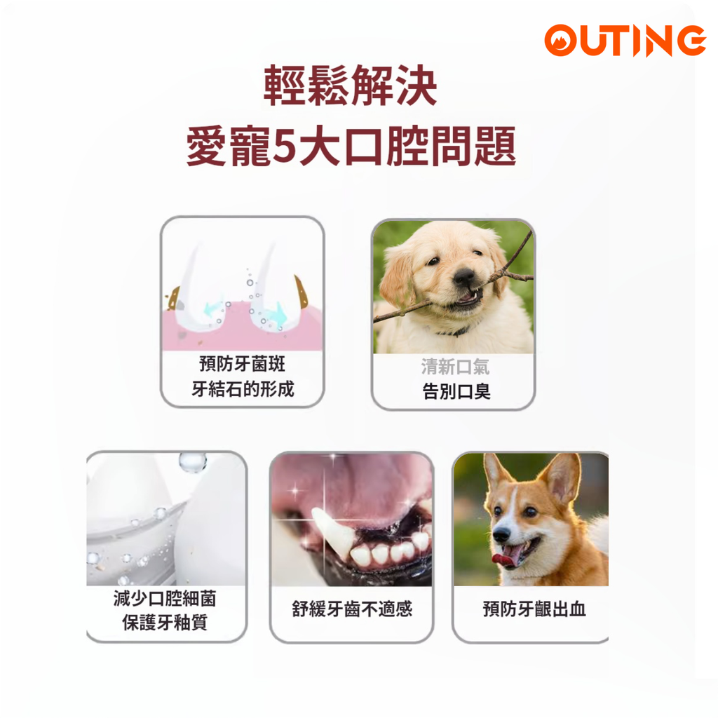狗狗牙刷 | 杜邦刷毛 健齒護齦 | 狗狗專用