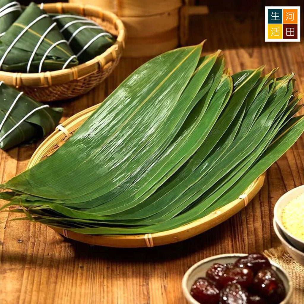 乾粽子葉(大片寬 7-10厘米│50片)│大號粽葉│端午節包粽子│乾粽葉│家用粽葉