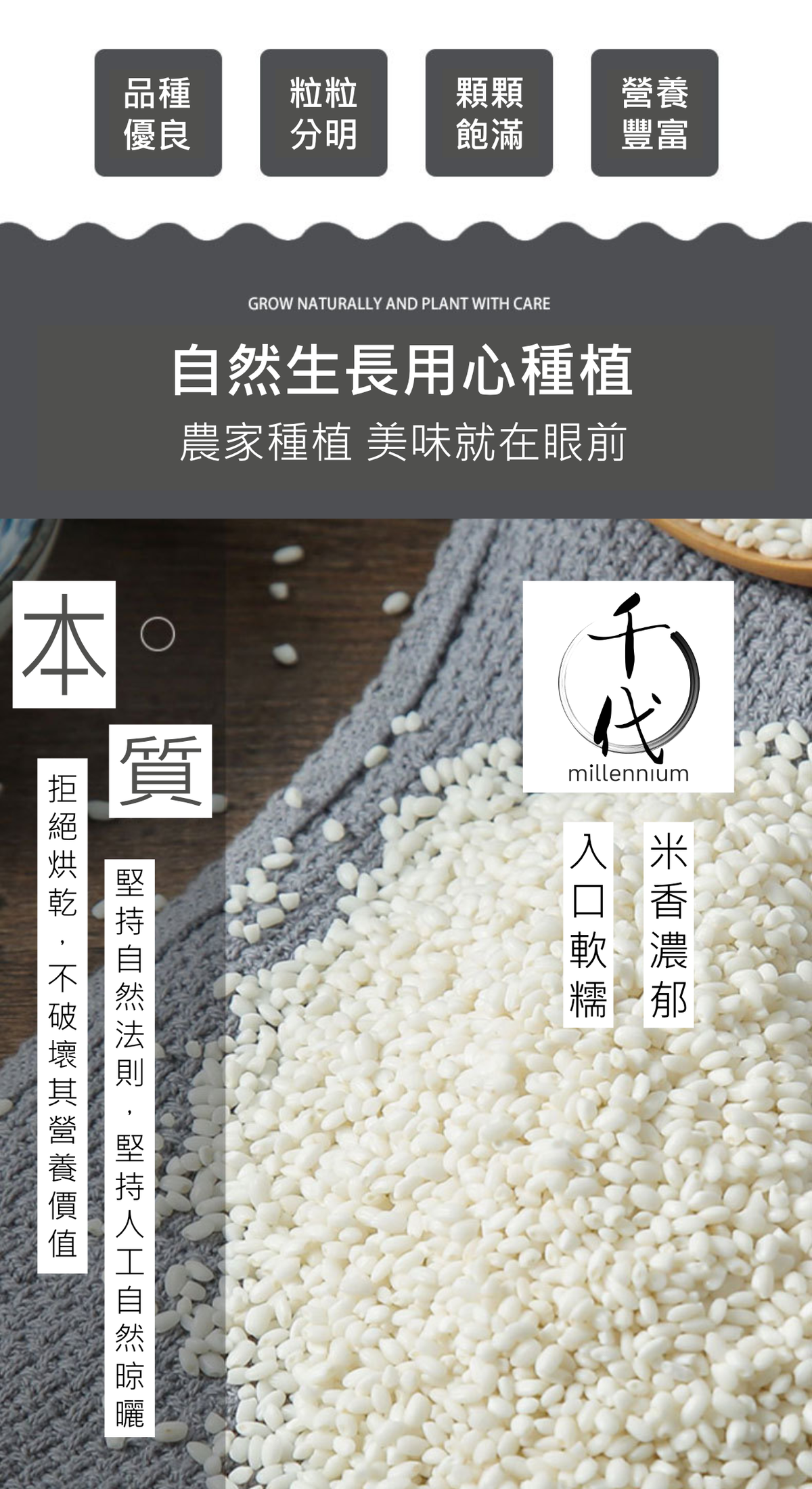 圓糯米(真空包裝)(500G)│補中益氣  健脾養胃│五穀雜糧