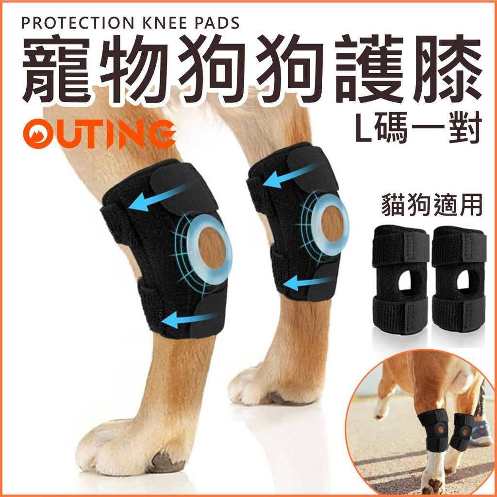寵物貓狗護膝(L碼一對）|ACL韌帶撕裂保護輔助|復健貓咪關節脫位保護套