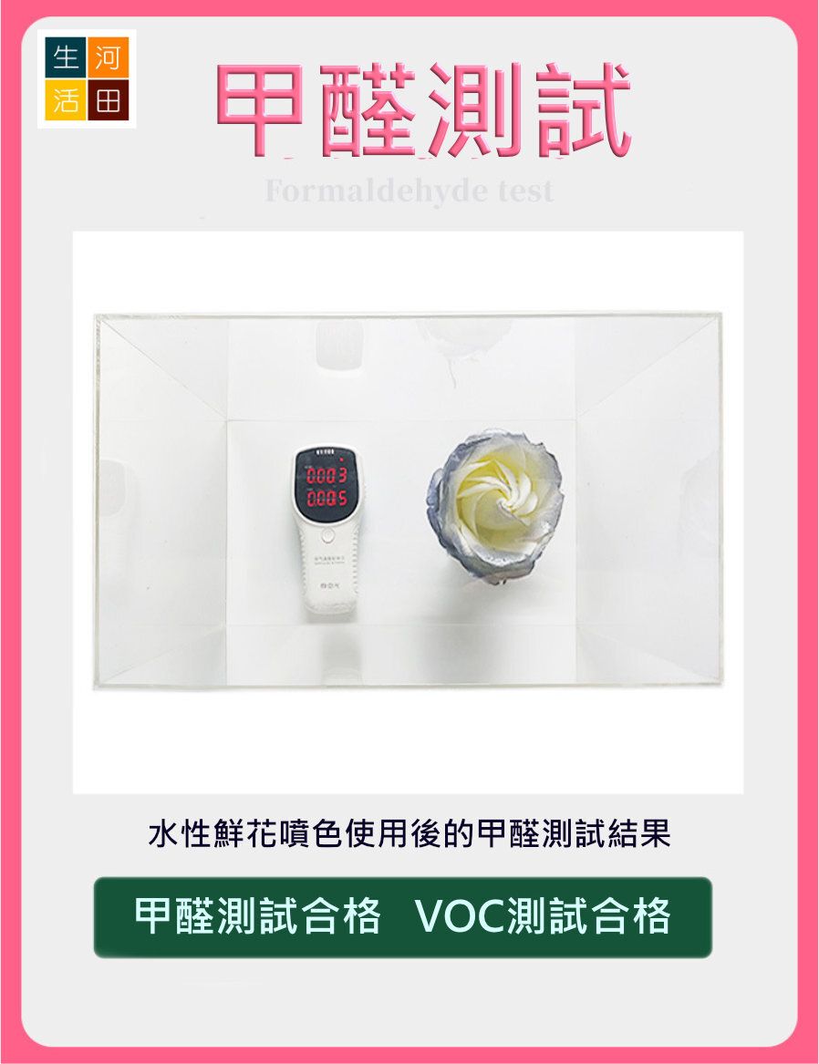 THEAOSON 鮮花永生花彩色噴劑 (薔薇粉 450ml Stock Code 872303)│香皂花染色劑│色彩噴劑│花藝彩繪噴劑│鮮花彩妝│染色噴霧│不含腐蝕性│零甲醛│