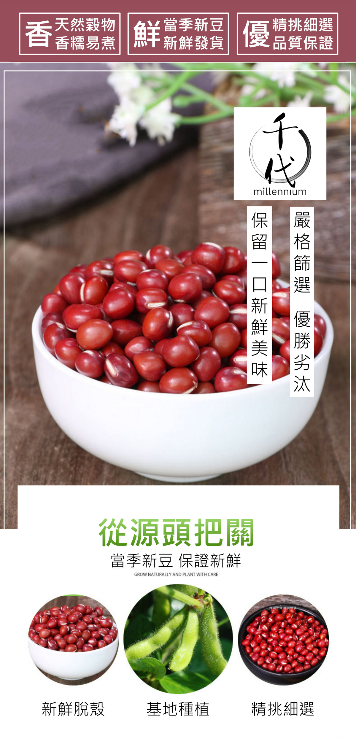 紅豆(真空包裝)(500G)│利尿消腫 清熱解毒│五穀雜糧