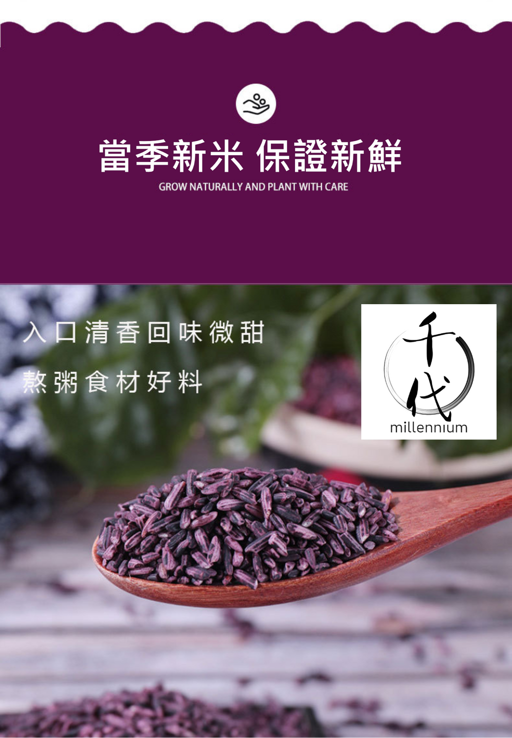 紫米(真空包裝)(500g)│滋陰補腎 健脾暖肝│五穀雜糧