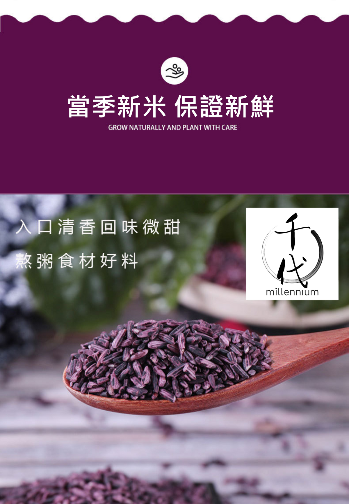 紫米(真空包裝)(500g)│滋陰補腎 健脾暖肝│五穀雜糧