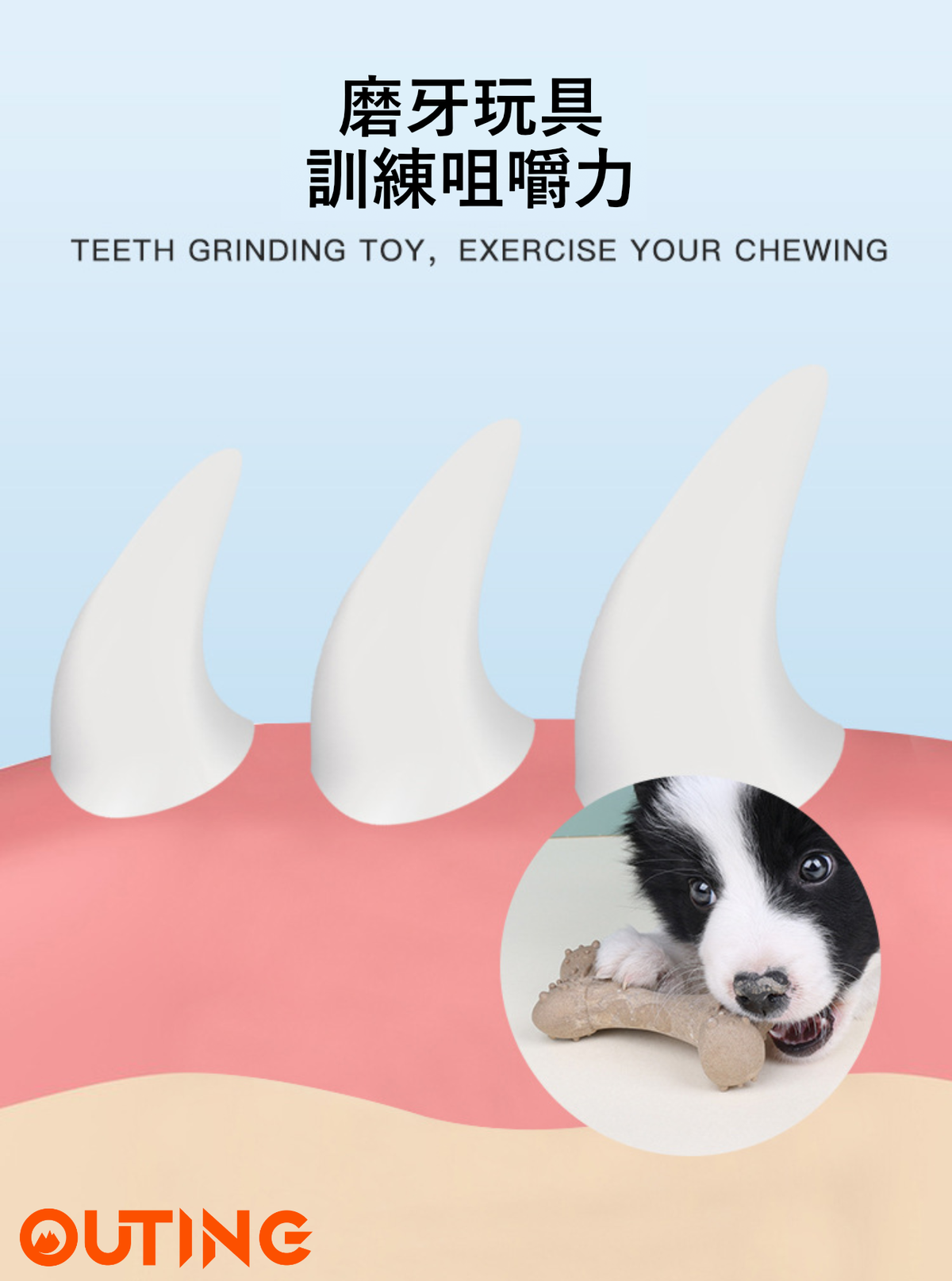 狗狗磨牙骨頭 | 牛肉味磨牙棒 | 啃咬玩具 耐咬 固齒 訓練用品