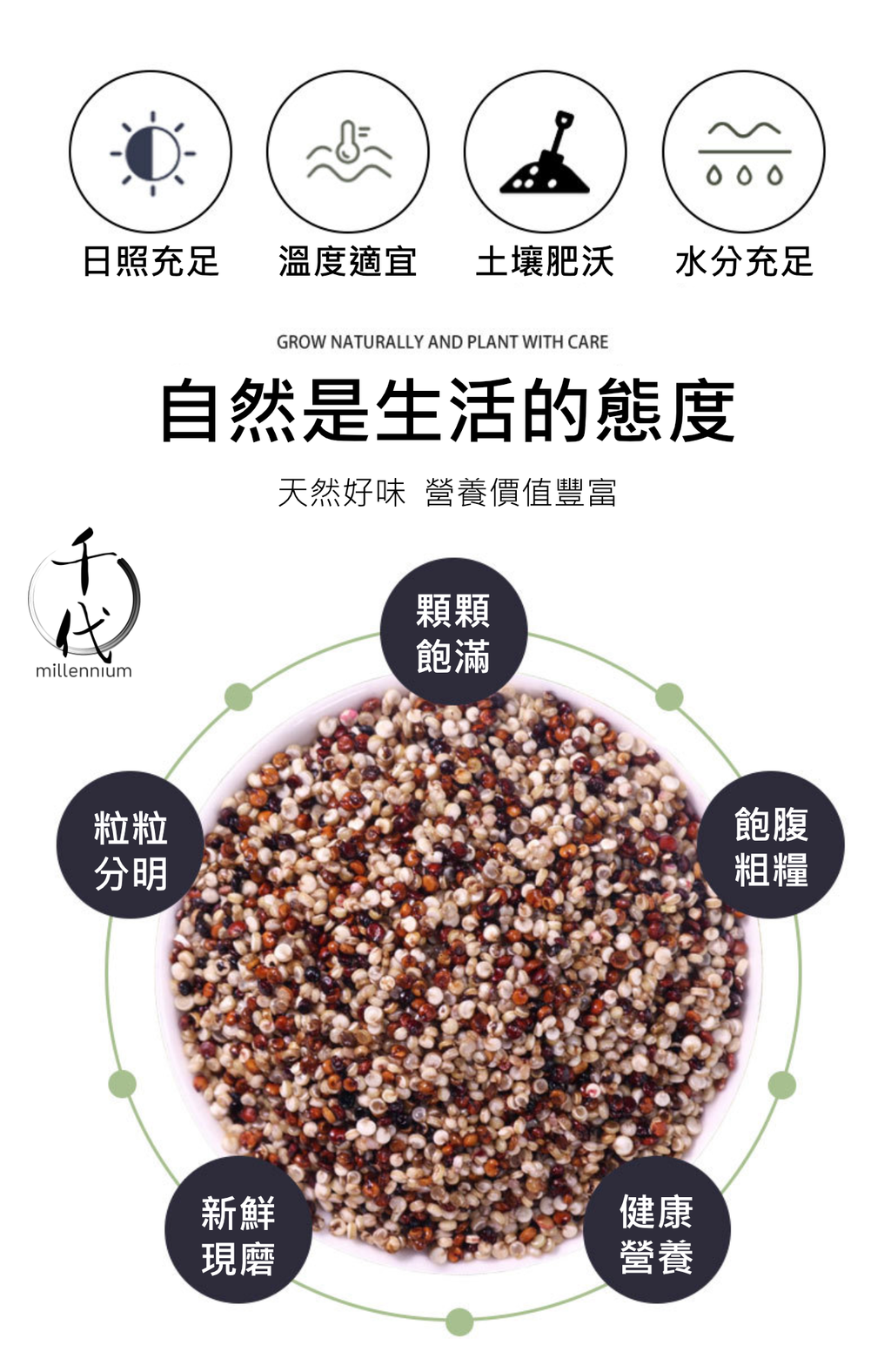 三色藜麥(真空包裝)(500g)│保持心血管健康│五穀雜糧 |生酮減肥 素食低升糖 紅藜麥 黑藜麥 白藜麥
