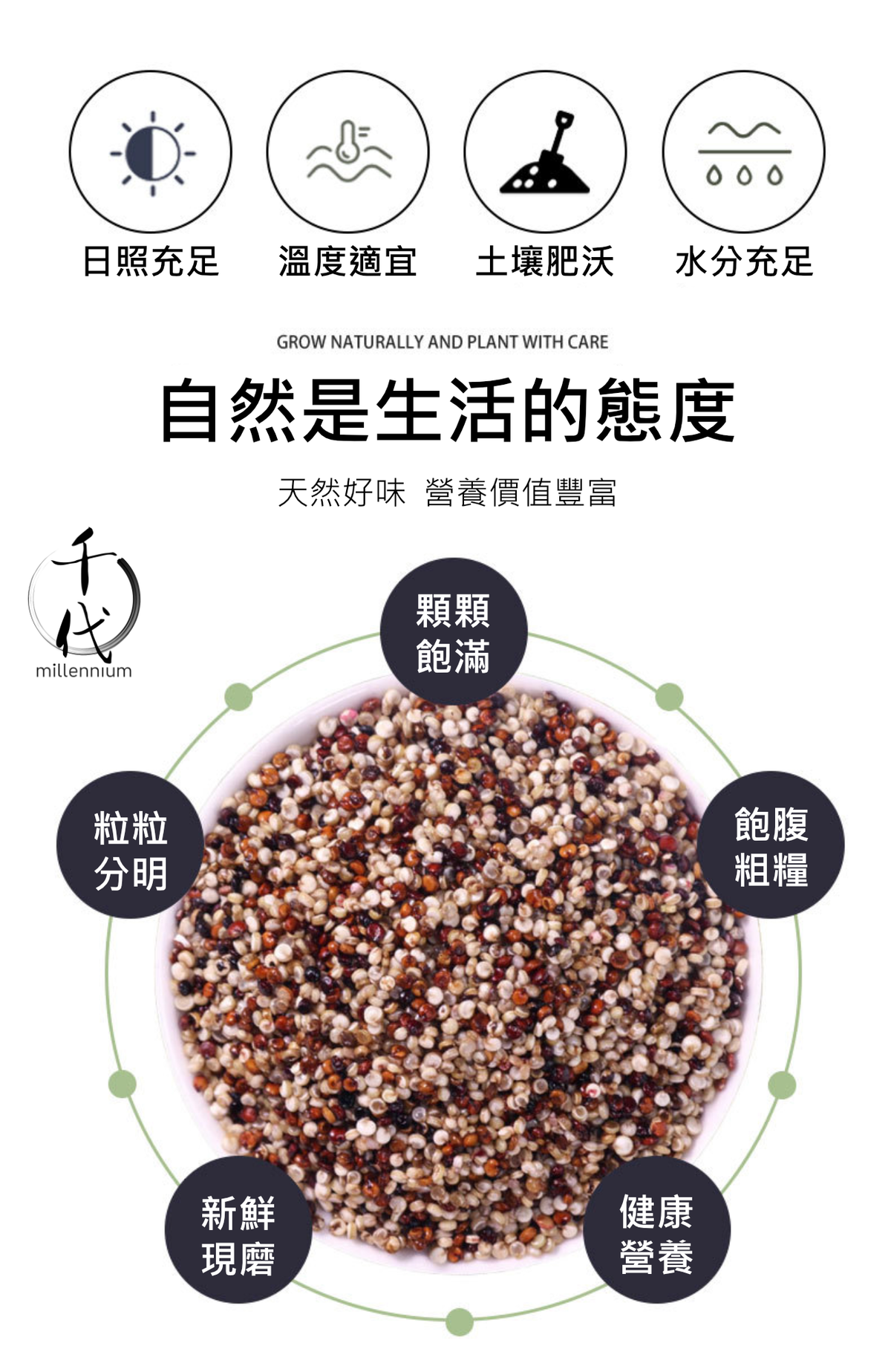 三色藜麥(真空包裝)(500g)│保持心血管健康│五穀雜糧 |生酮減肥 素食低升糖 紅藜麥 黑藜麥 白藜麥