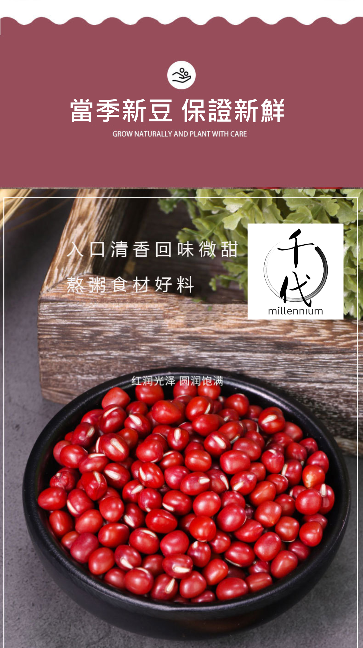 紅豆(真空包裝)(500G)│利尿消腫 清熱解毒│五穀雜糧