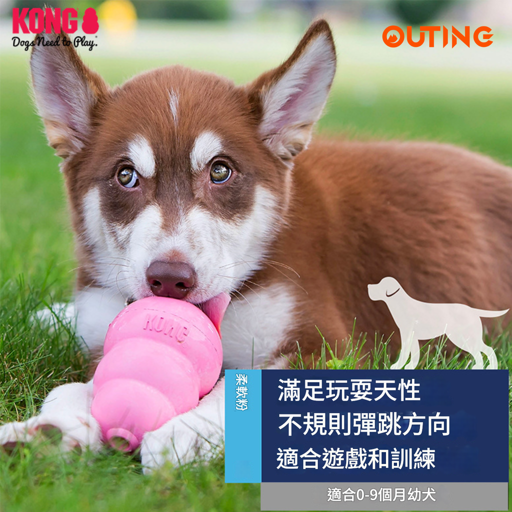 KONG 狗狗漏食葫蘆不倒翁玩具(粉紅色│大碼)│美國品牌漏食益智玩具│幼犬成犬訓練│互動解悶│無毒無害│洗碗機熱水清洗