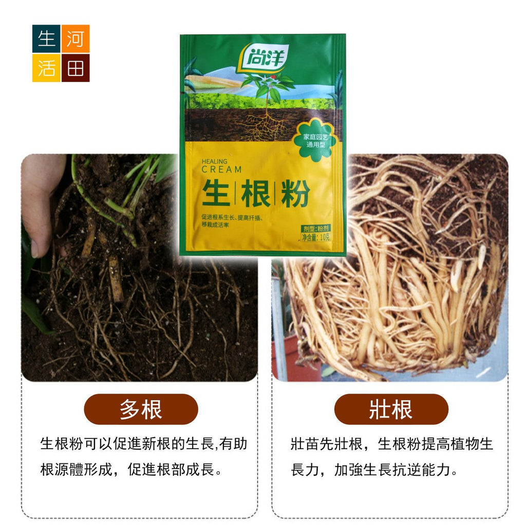 植物生根器套裝│折/插/接枝法神器│生根繁殖套裝│生根促進器│園藝育苗工具
