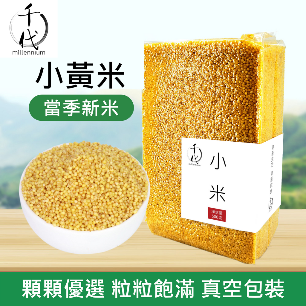 小黃米(真空包裝)(500G)│滋陰養血 健胃除濕│五穀雜糧
