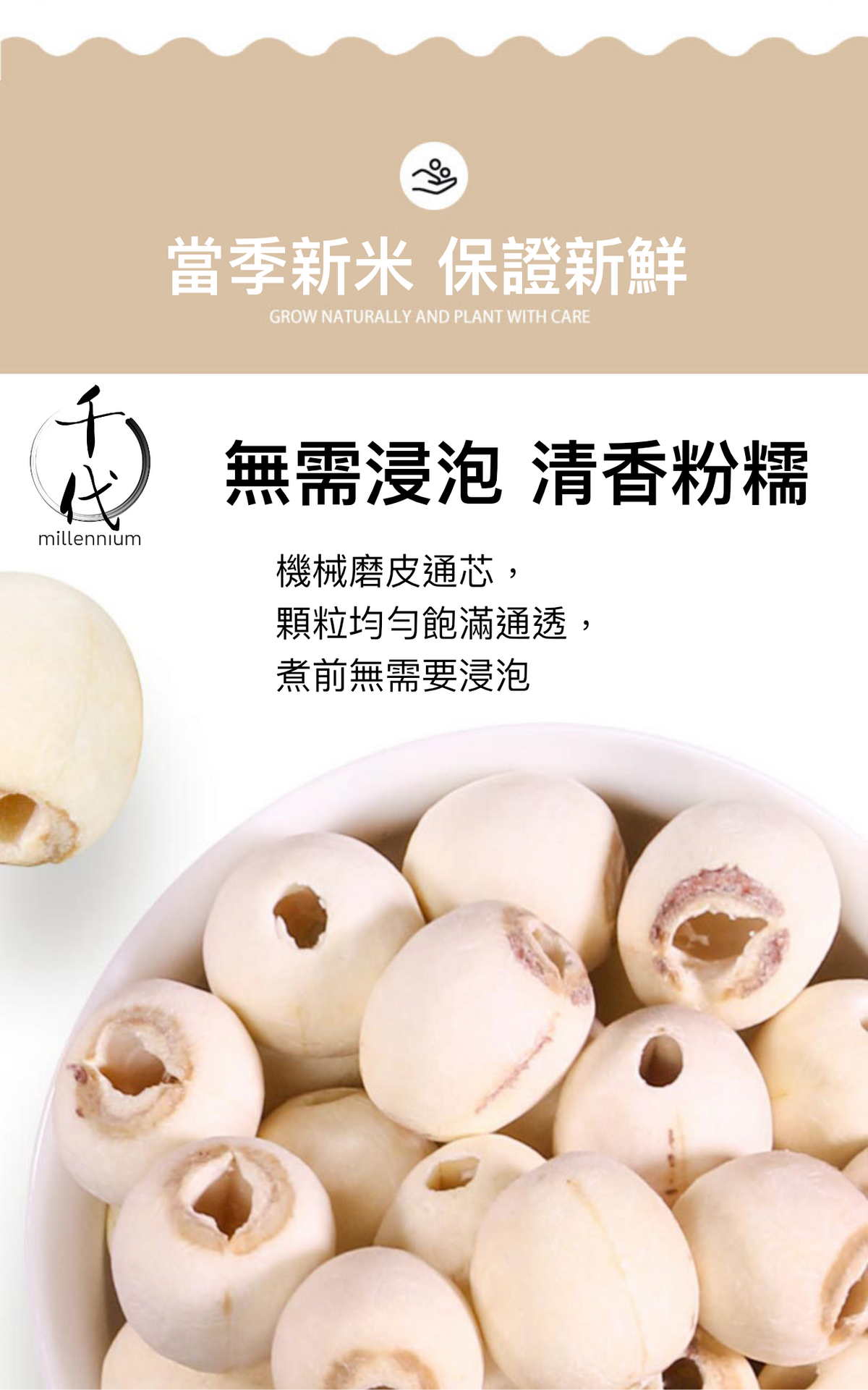 原粒白蓮子(330G)│補益脾胃 清心助眠 精治腎虛