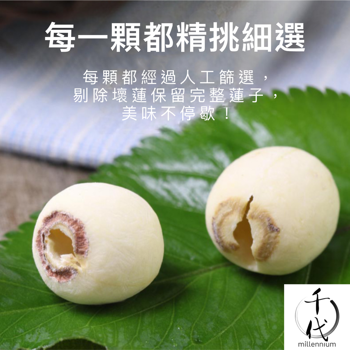 原粒白蓮子(330G)│補益脾胃 清心助眠 精治腎虛