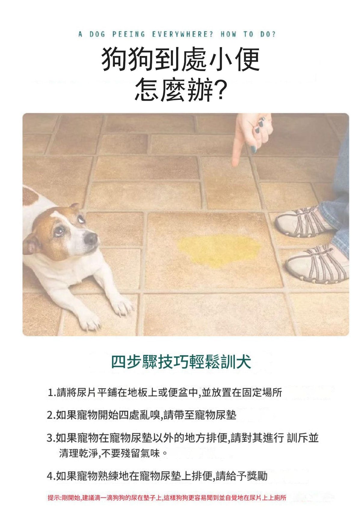可重用寵物尿墊(米色│加大碼)│可洗重複使用│吸水隔尿墊│四層防水尿墊│快速吸水滲透│如廁訓練