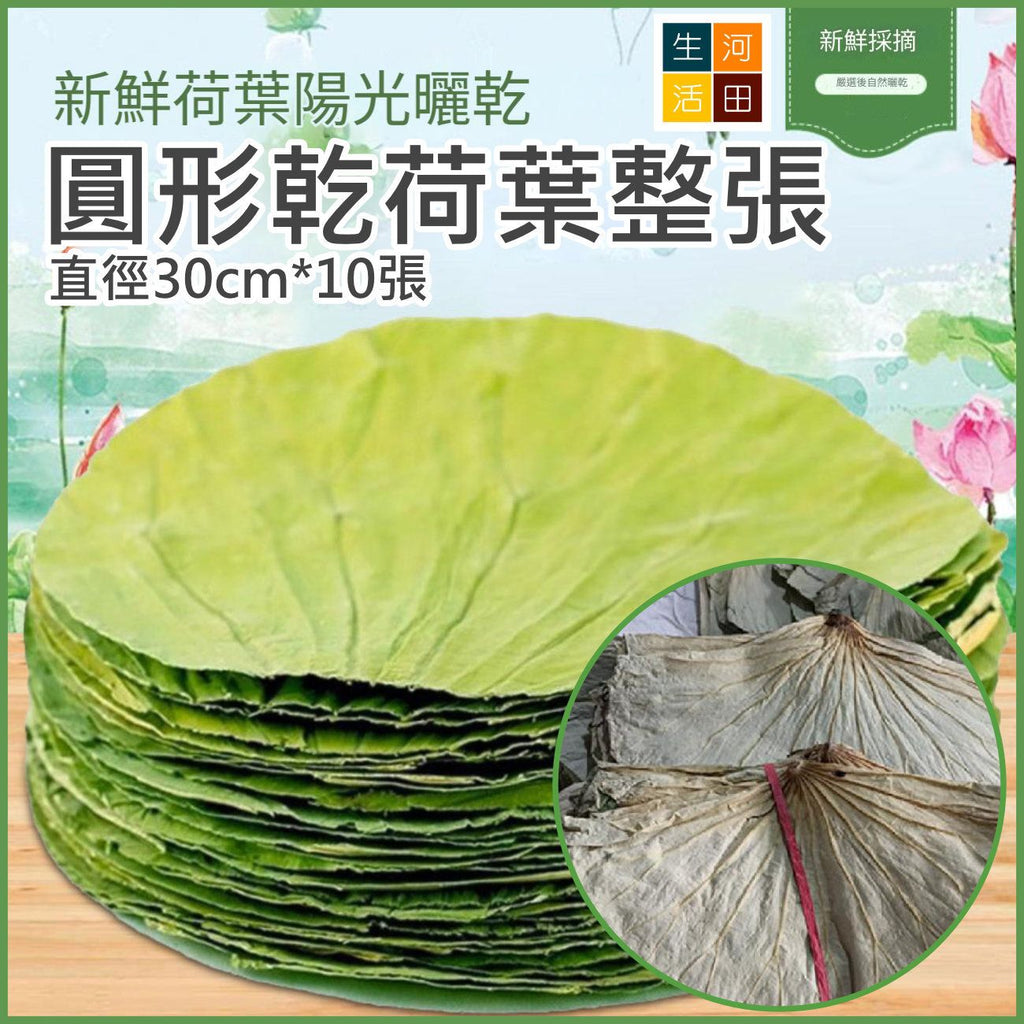 圓形乾荷葉整張(30cm10張)│天然荷葉│荷葉食品
