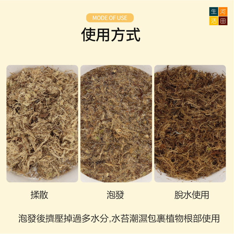 蝴蝶蘭水苔150g|乾苔蘭花專用營養土|園藝植料|微觀盆景素材