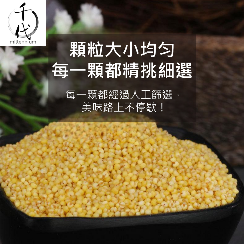 小黃米(真空包裝)(500G)│滋陰養血 健胃除濕│五穀雜糧