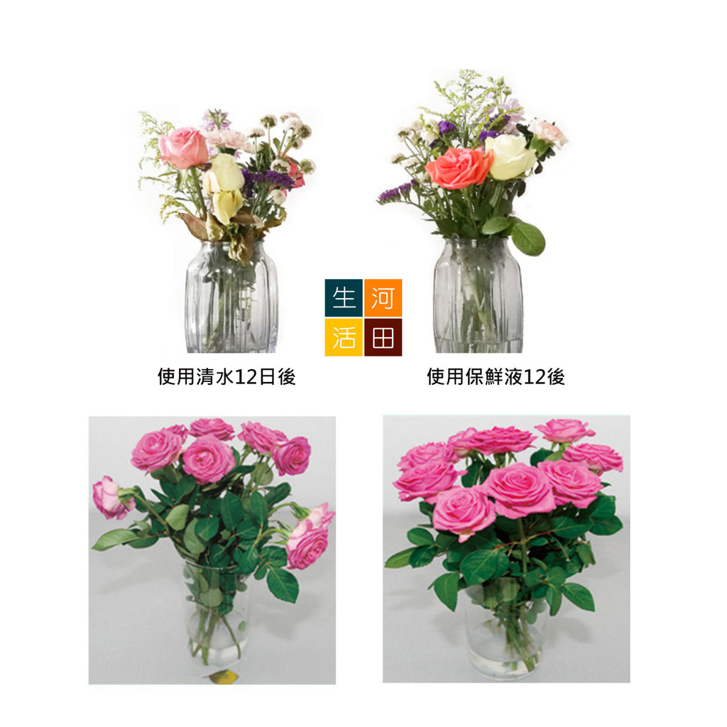 Vaselife荷蘭鮮花保鮮劑營養液粉末(5件裝)|營養粉劑|花束長效營養粉劑|花朵養護劑