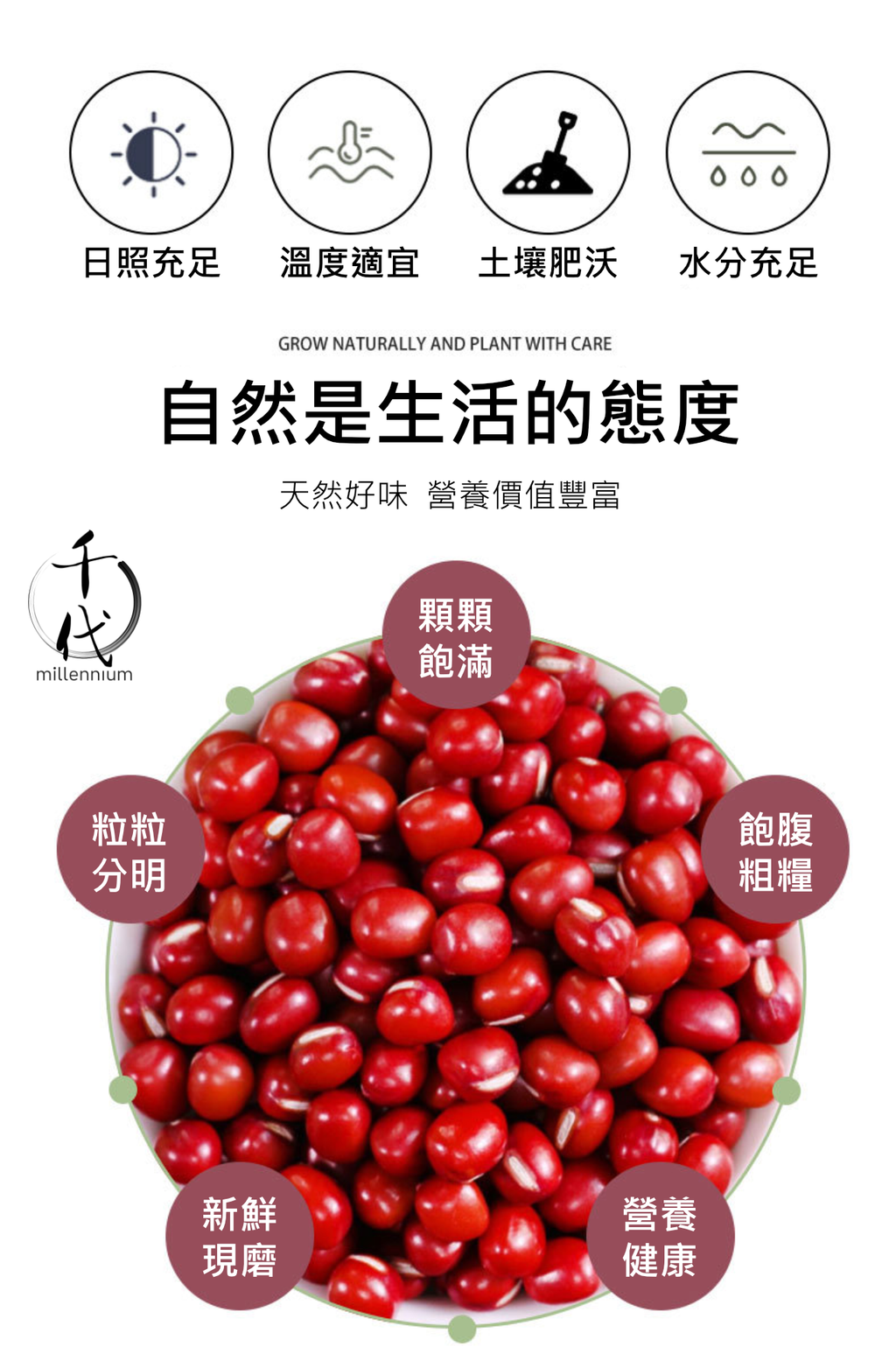 紅豆(真空包裝)(500G)│利尿消腫 清熱解毒│五穀雜糧