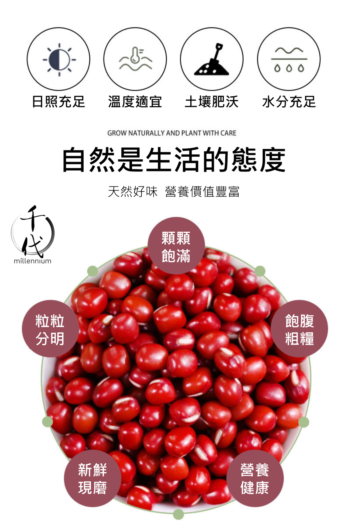 紅豆(真空包裝)(500G)│利尿消腫 清熱解毒│五穀雜糧