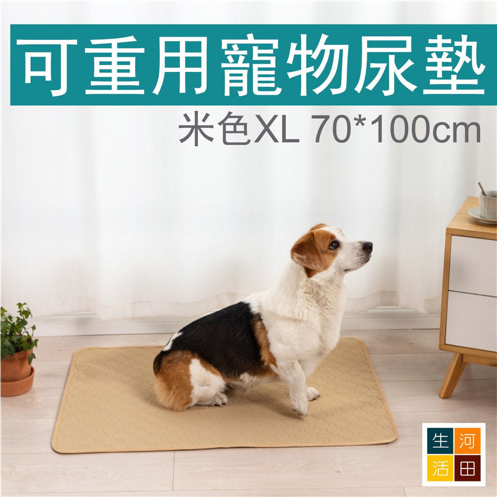 可重用寵物尿墊(米色│加大碼)│可洗重複使用│吸水隔尿墊│四層防水尿墊│快速吸水滲透│如廁訓練