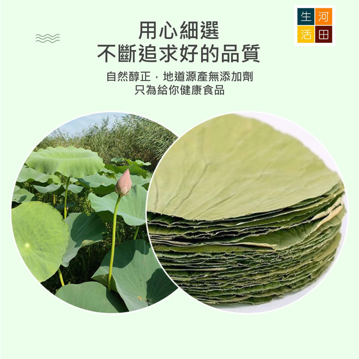 圓形乾荷葉整張(30cm10張)│天然荷葉│荷葉食品