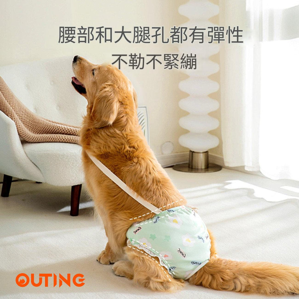 狗狗清爽透氣生理褲(中碼)│透氣狗狗尿布│舒適透氣生理褲│狗狗護理褲