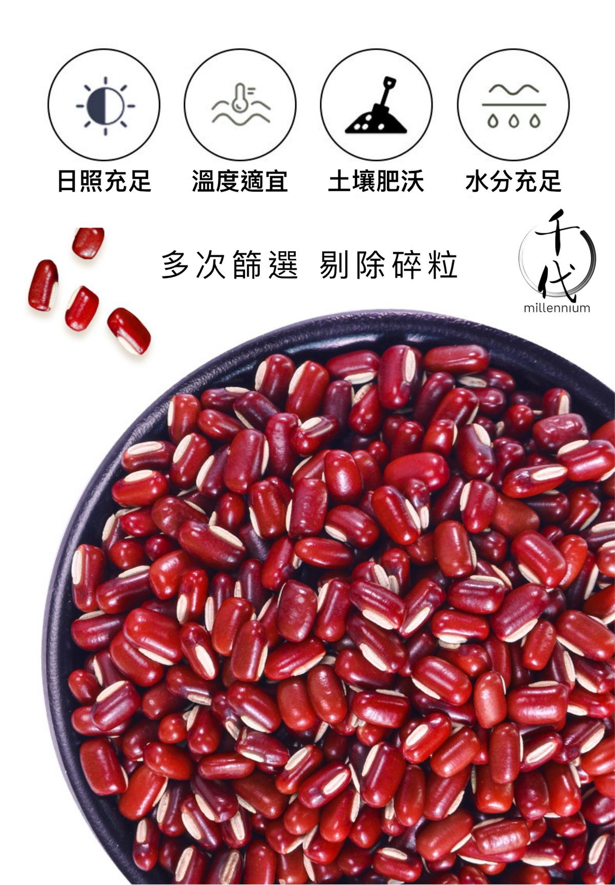 赤小豆(真空包裝)(500G)│寬腸理氣 消腫解毒 │五穀雜糧
