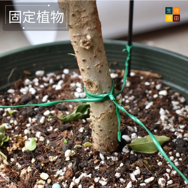 園藝鐵絲線50米|自帶切割器|爬藤固定|植物捆綁線