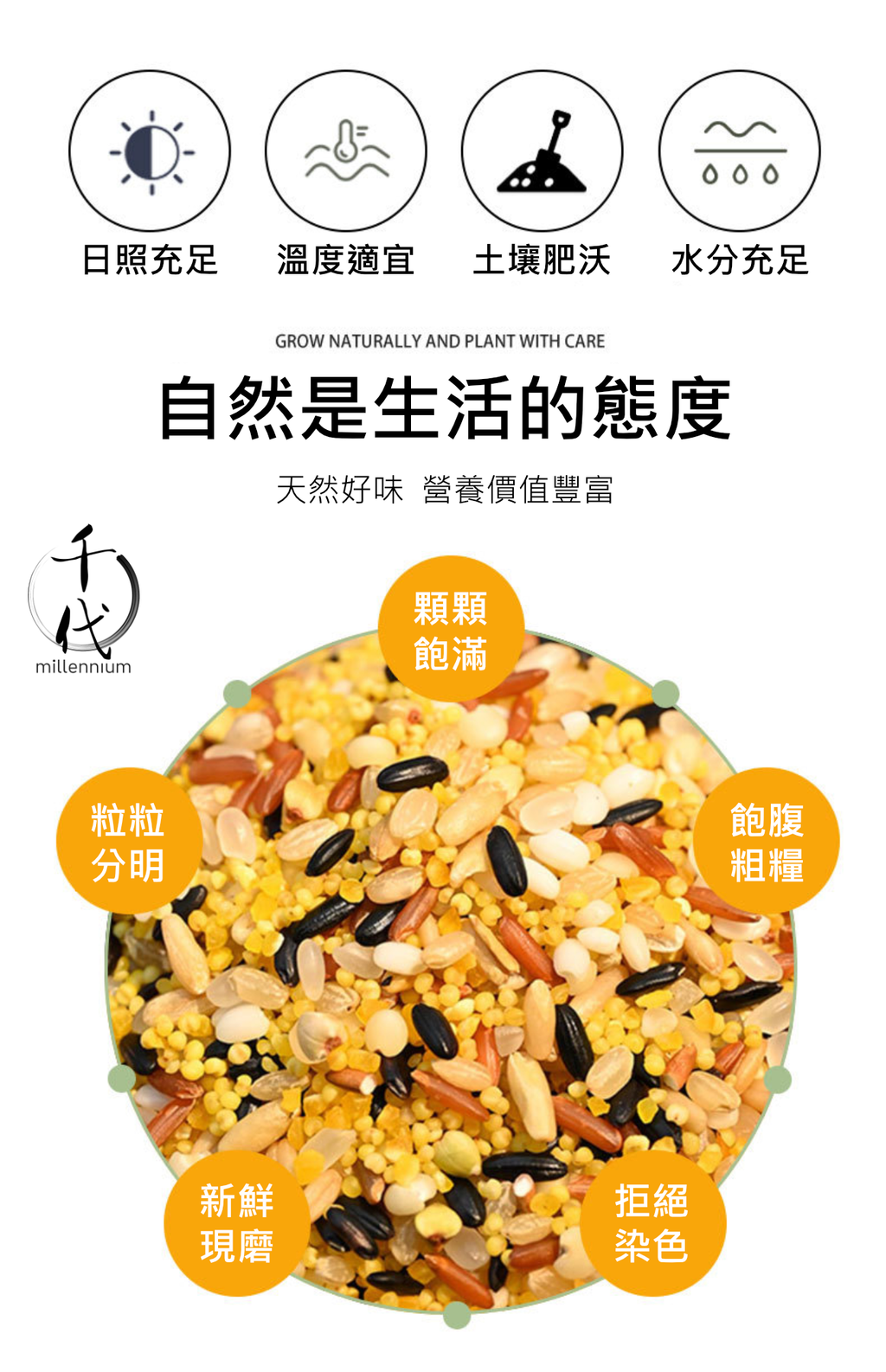 十色米(真空包裝)(500g)│高纖低熱量 有助腸道健康│五穀雜糧