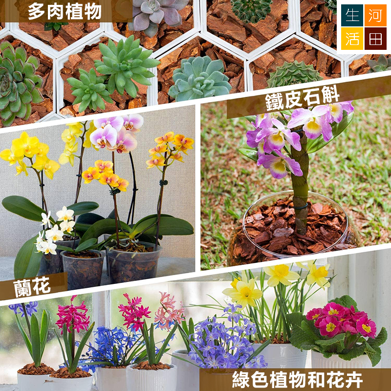 園藝種植 發酵松樹皮 松鱗 蘭花盆栽泥土壤介質 3mm-6mm 5L